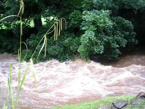 River in spate 2.JPG